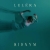 Ridnym - Single
