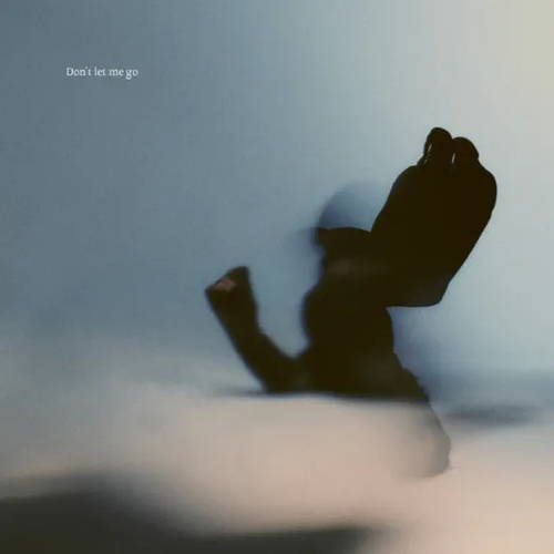 Don't Let Me Go - Single